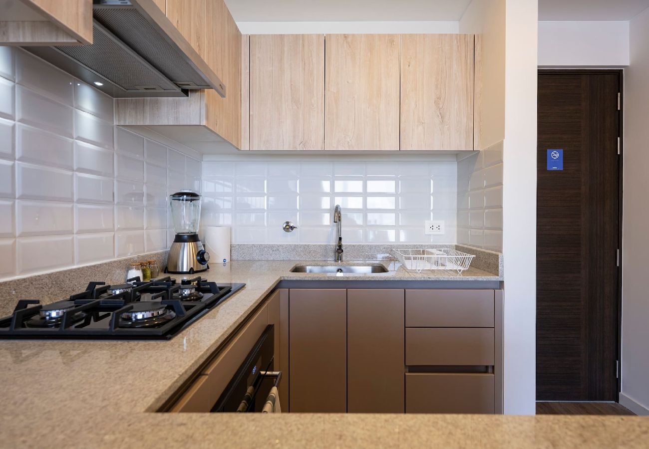 Cocina del apartamento Zaar Geko en San Isidro