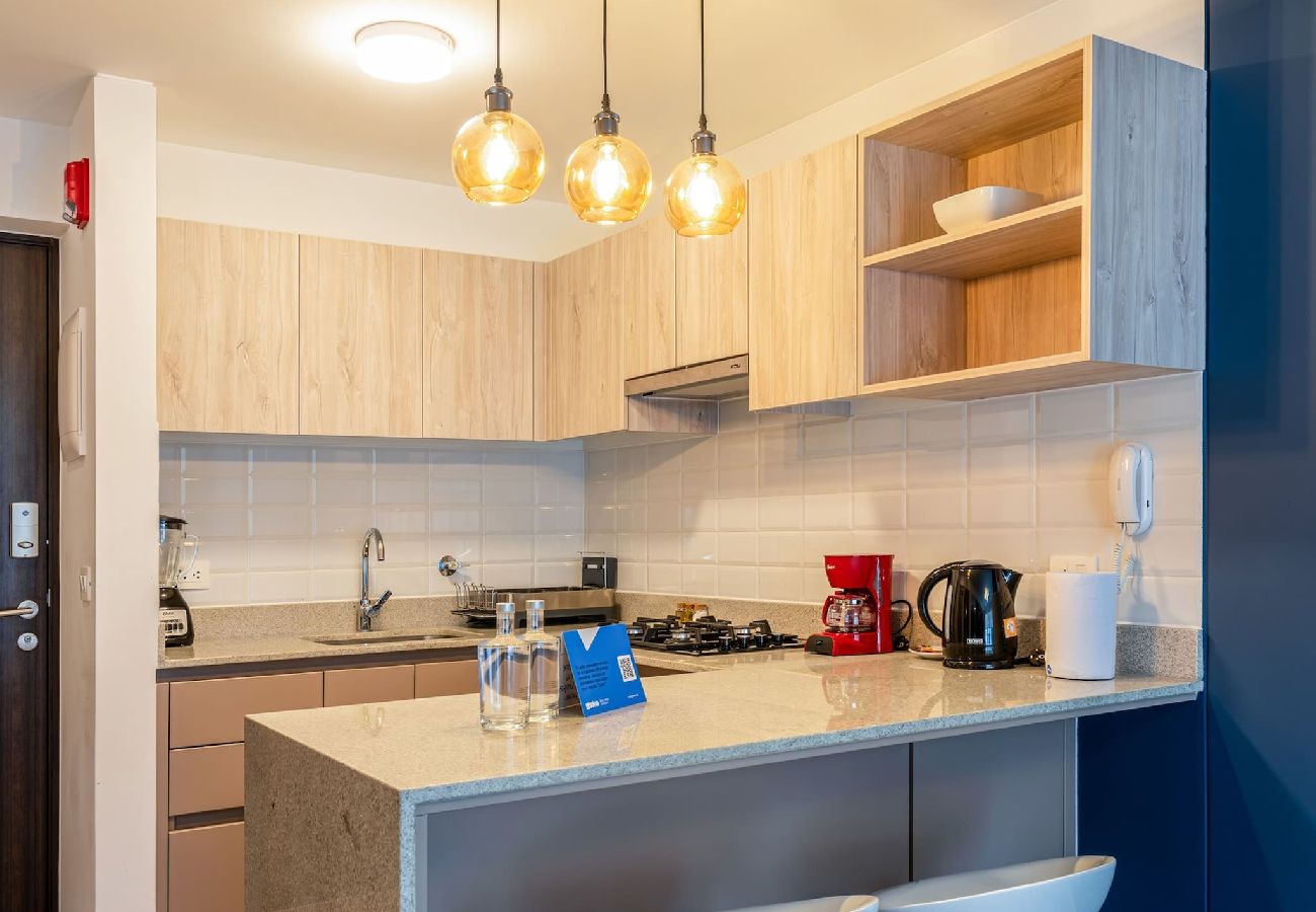 Cocina del apartamento astra Geko en San Isidro